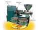 Stainless Steel Walnut Automatic Oil Press Machine Compact
