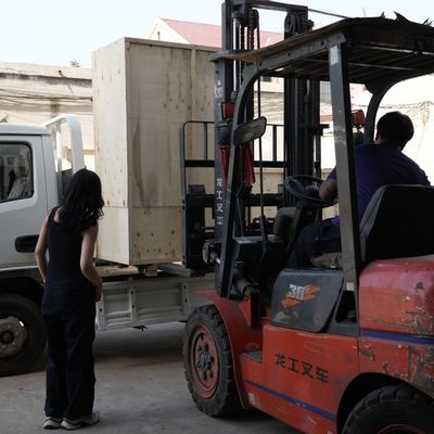 Pet Dog Cat Fish Feed Extruder Animal Feed Pellet Machine for Feed Processing