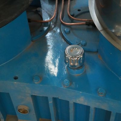 High Efficiency Wood Pellet Mill for Biomass Wood Sawdust Rice Husk Straw