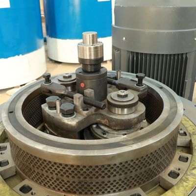 Alfalfa Bagasse Biofuel Plastic Pellet Making Machine 5000kg/ H 2mm