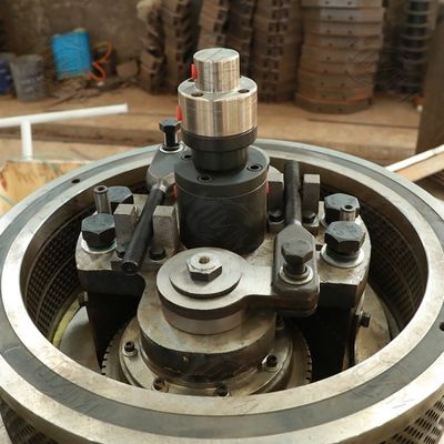 Fuel Eucalyptus Wood Pellets Machine Vertical Ring Die 3t/ H