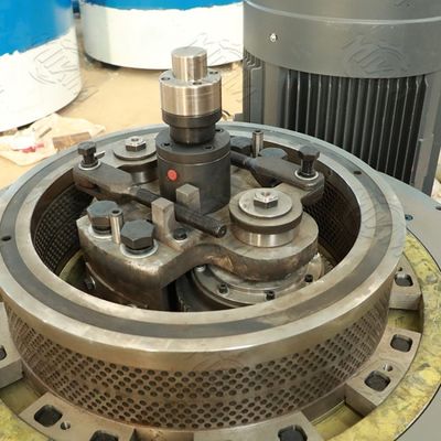 Straw Rice Husk Wood Chips Sawdust Pellets Automatic Production Line