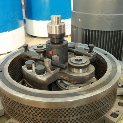 Double Layer Coffee Biomass Wood Pellets Machine 0.6mm 1500kgs/ H