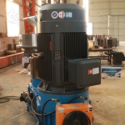 Alfalfa Bagasse Biofuel Plastic Pellet Making Machine 5000kg/ H 2mm