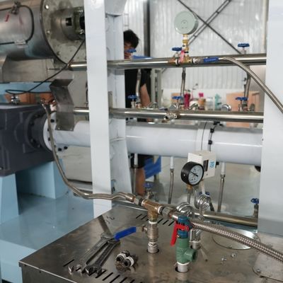 76.5ft 62KW Dog Food Production Line Extruder Twin Screw