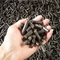 Double Layer Coffee Biomass Wood Pellets Machine 0.6mm 1500kgs/ H