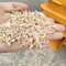 0.7t/ H Sawdust Wood Powder Making Machine 11KW Animal Feed Crusher Machine