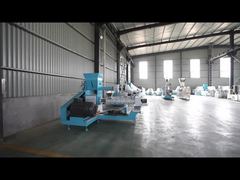 Exploring Fish Feed Extruder Machine