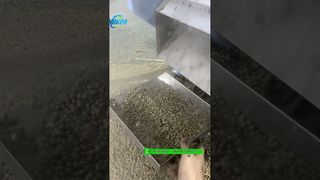 200kg/h floating fish feed pellet extruder machine testing before packing #fishfeedmachine