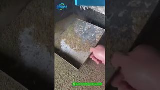 Shrimp Feed Pellet Mill | Factory Finished Product Production Demo#feed pellet machine